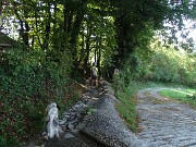 68 Prendiamo il sentiero che da Carnito ci rporta nel bosco a Inzogno-S. Bernardino di Zogno